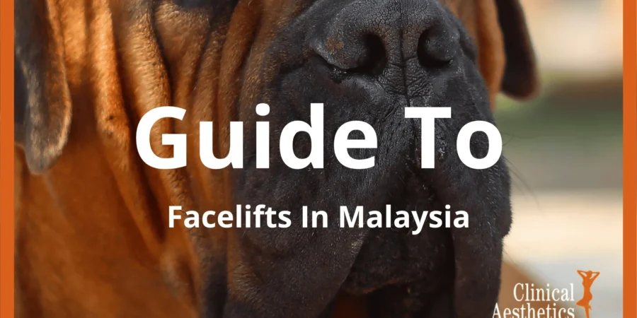 A Full Guide To Facelifts In Kuala Lumpur & Malaysia (2025)
